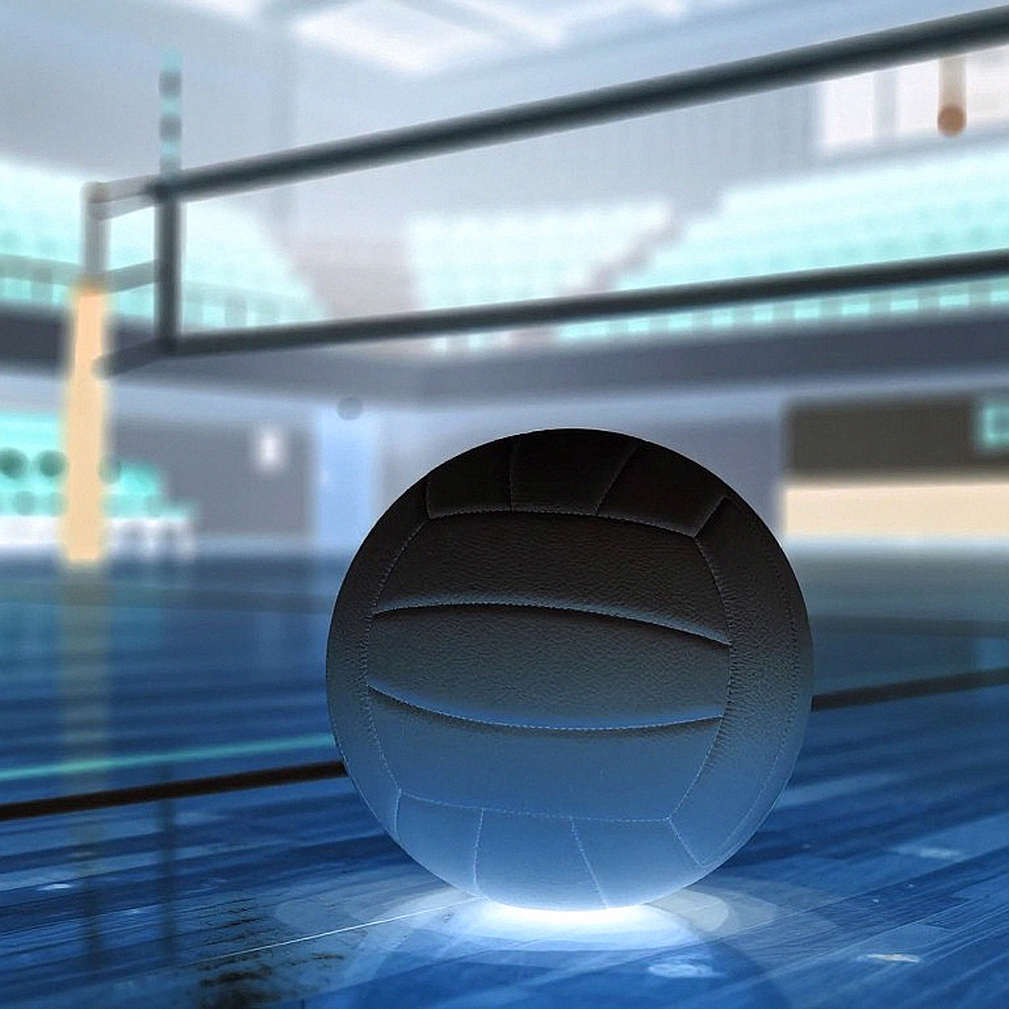 The Hidden Net of the Volleyball Transfer Window: Reading the Market Through Contract Structure The Hidden Net of the Volleyball Transfer Window: Reading the Market Through Contract Structure