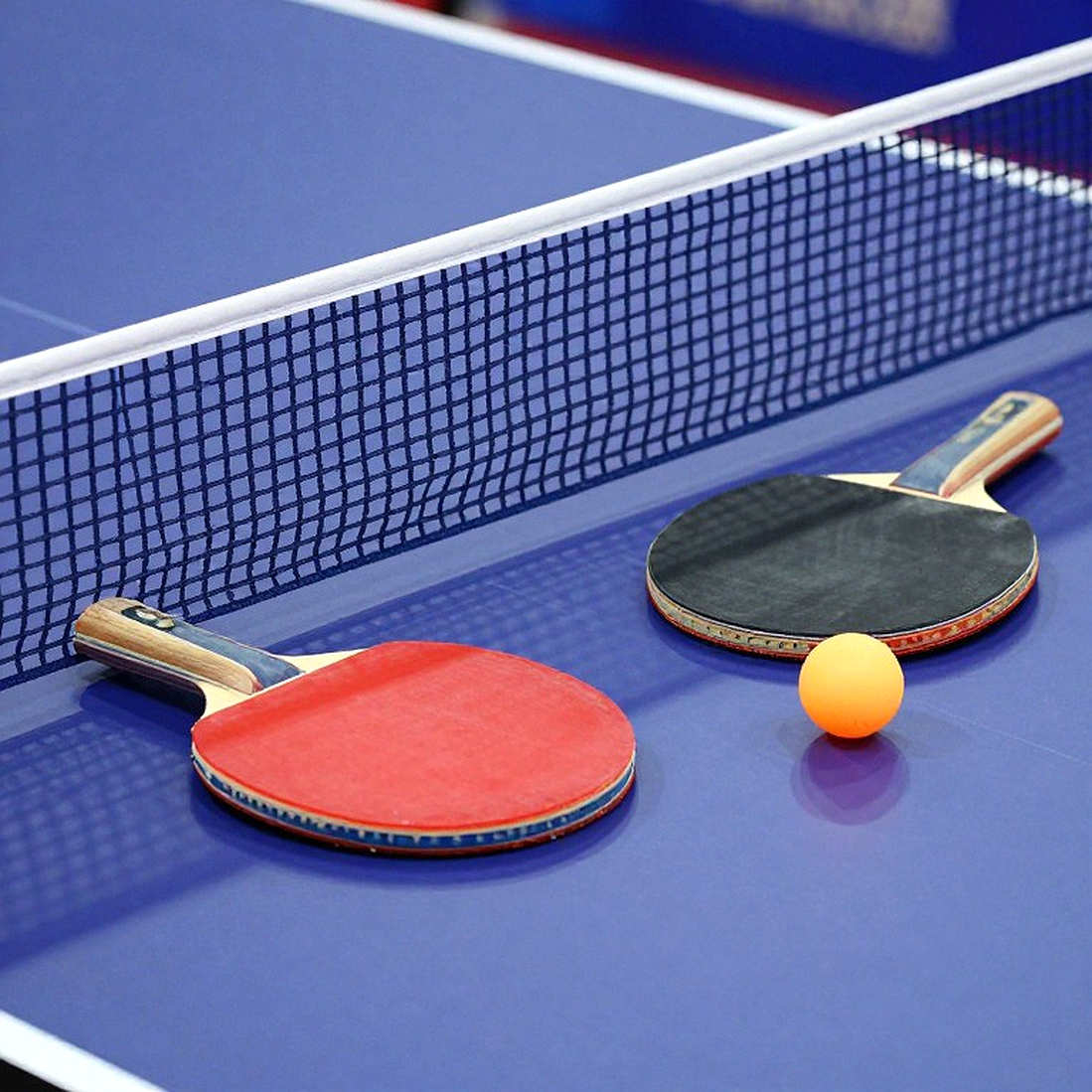 Table Tennis England họp thành viên: hai tấm bằng khen và một khoảng trống dữ liệu