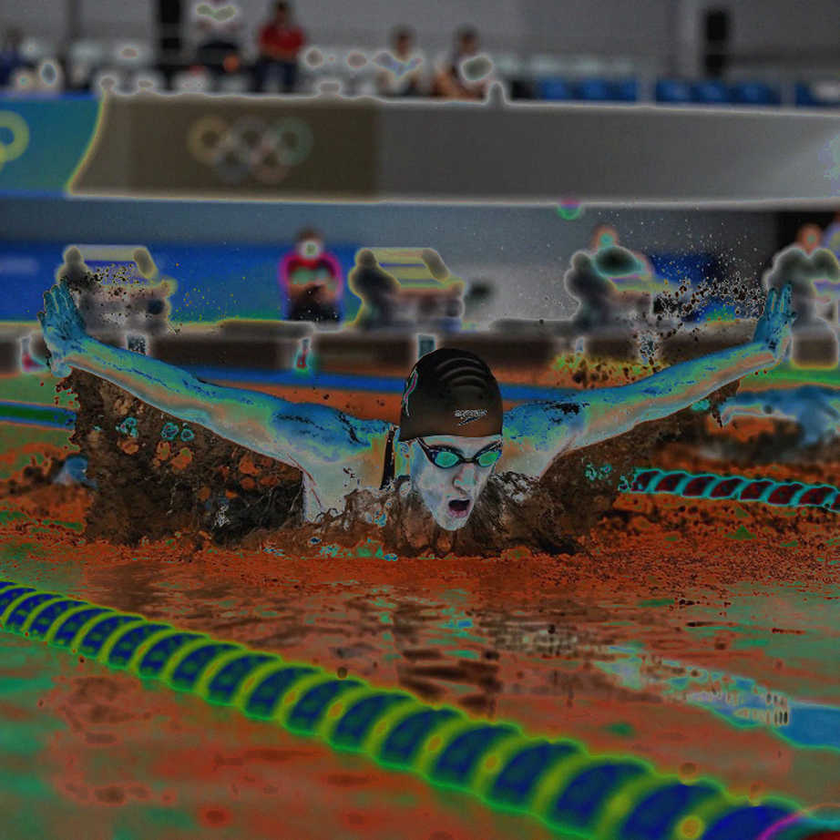 The Documentation Gap in Vietnamese Women's Swimming The Documentation Gap in Vietnamese Women's Swimming