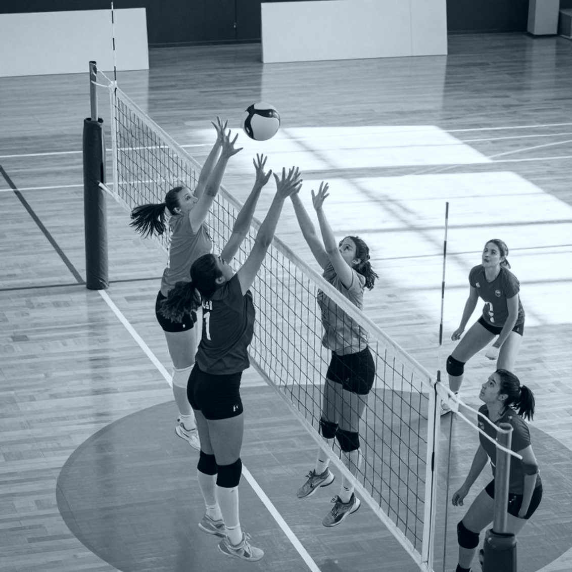When the Net Is Disarmed: AVP League Championship 2026 and Two Beach Finals Telling the Same Story